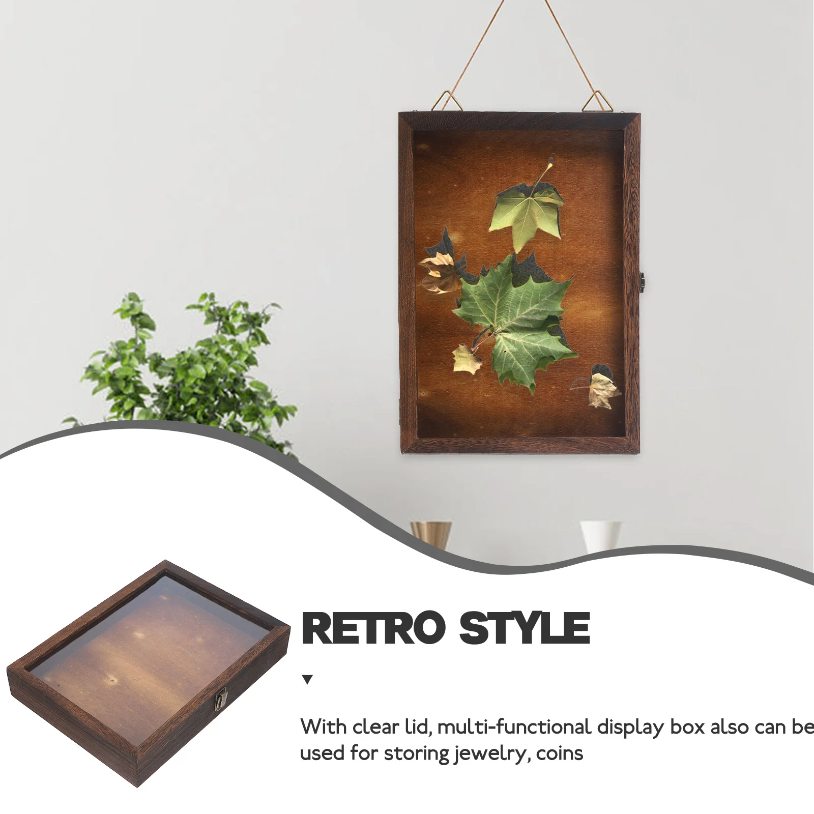 

Retro Insect Box Wooden Clear Lid Compact Storage for Butterflies Coins Crafts Jewelry Specimen Display Box Wood Display Case