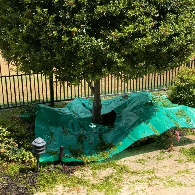 WXTC Garden Shrub Trimming Catcher 78.7"x78.7" Easy Fastening Landscape Tarp with 4 Corner Buckles for Leaf Collection