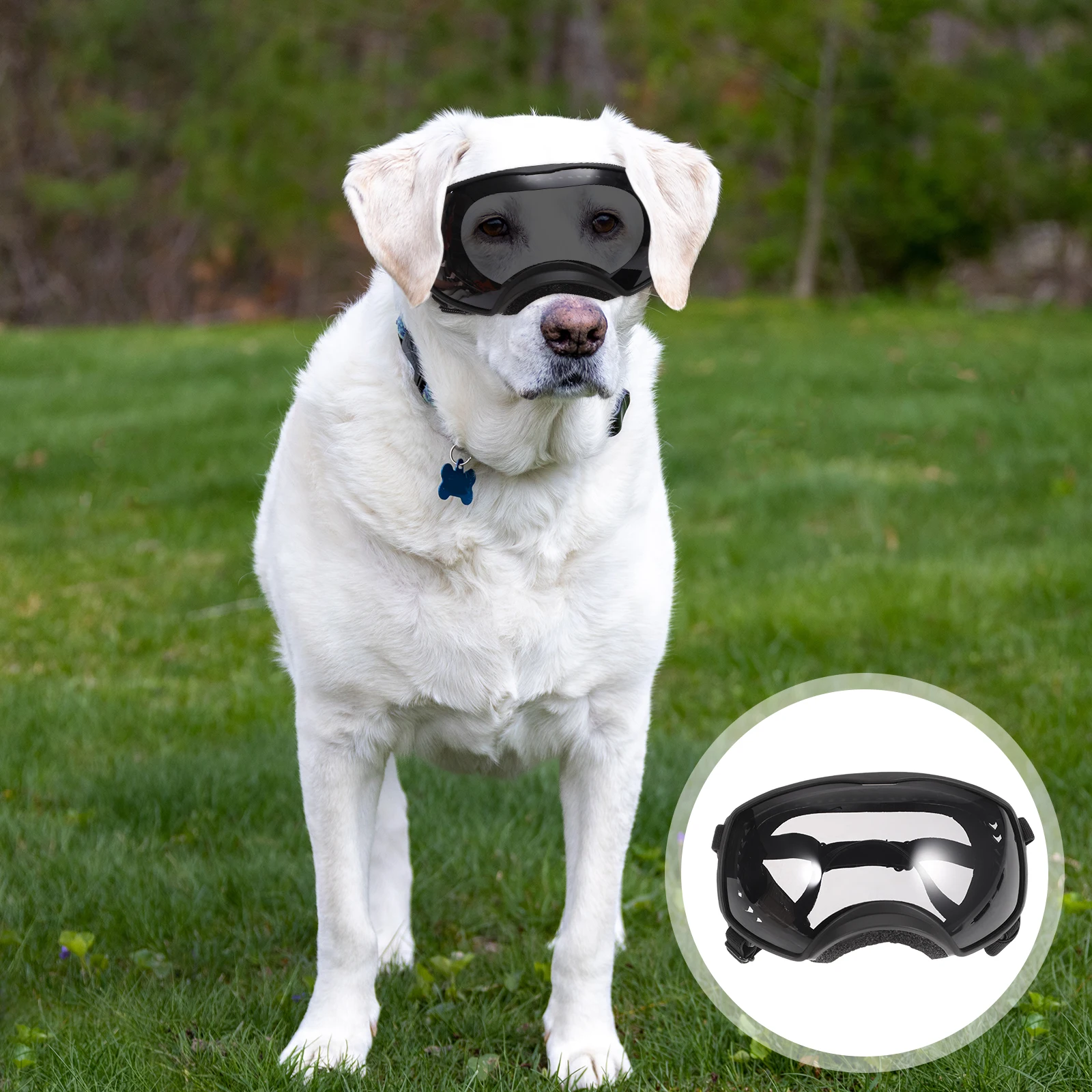 

Dog Sunglasses Goggles for Outdoor Windproof Medium Dogs Breed Pet Accessories Tpu Large