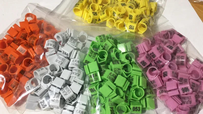 50 Pcs of Customized Plastic Carrier Pigeon Foot Ring with NAME  MOBILE NO. Ring Customized Opening Competition Adaptation Ring