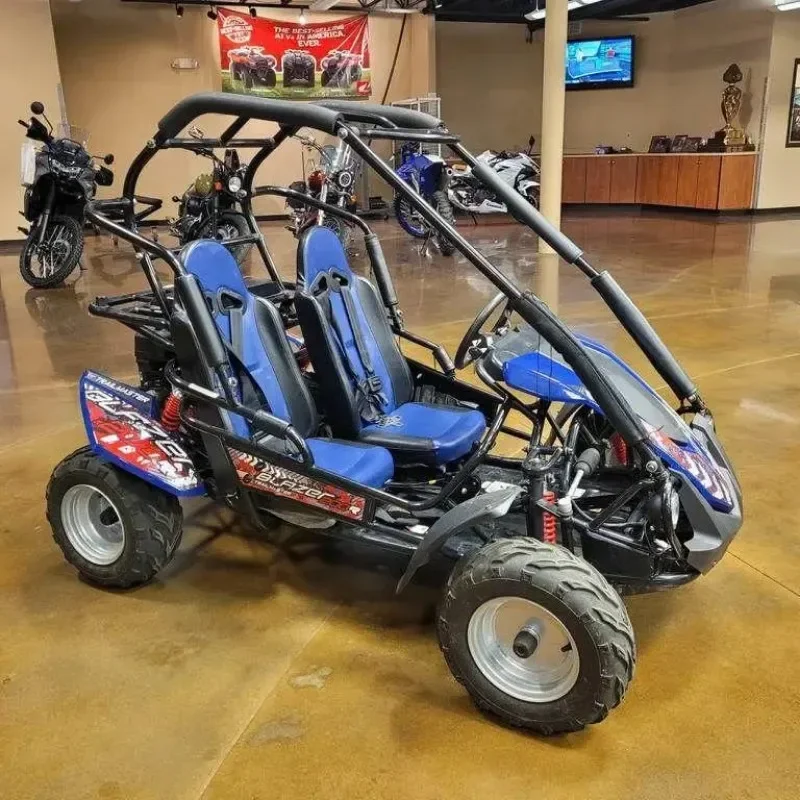 Highper 1000W 1500W 48V 60V Electric Gokart, Carting Car Karting, 2 Seat Cheap Go Karts for Sale