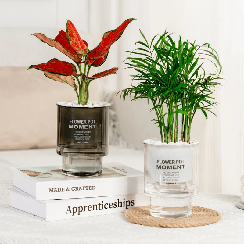 Creative Self-absorbent Transparent Water Culture Pot Small Potted Plant Ware Office Decoration