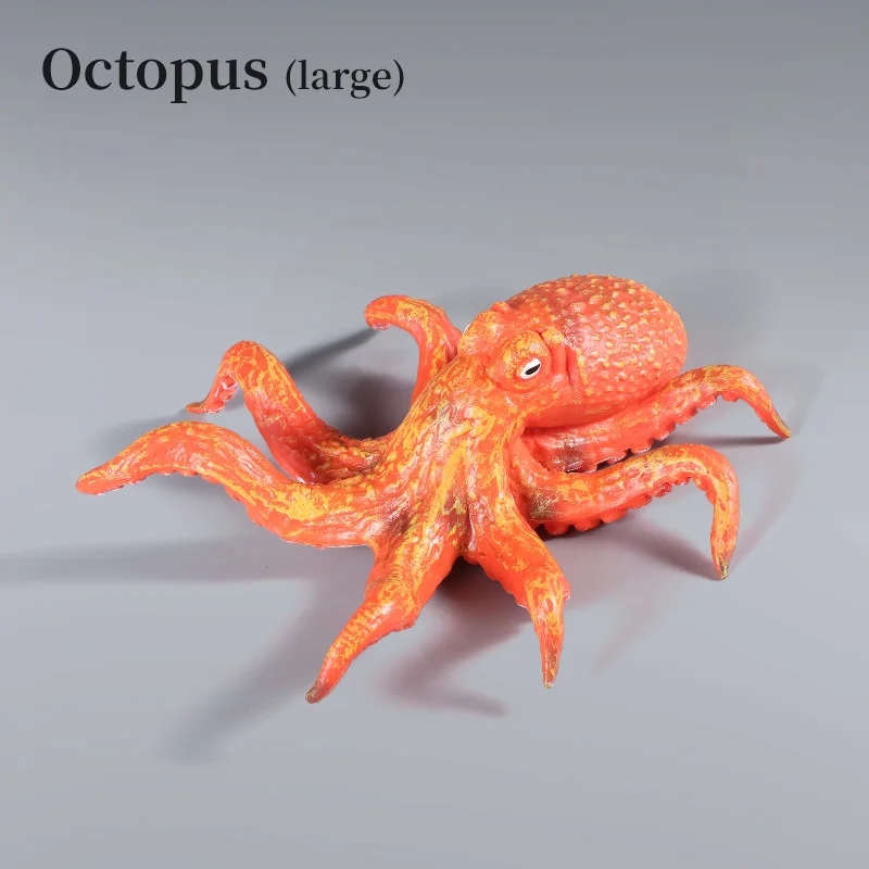 Educational Marine Molluscs ModelToys - Simulation Squid Octopus Growth Cycle Action Figure for Kids Sealife Animal Collection