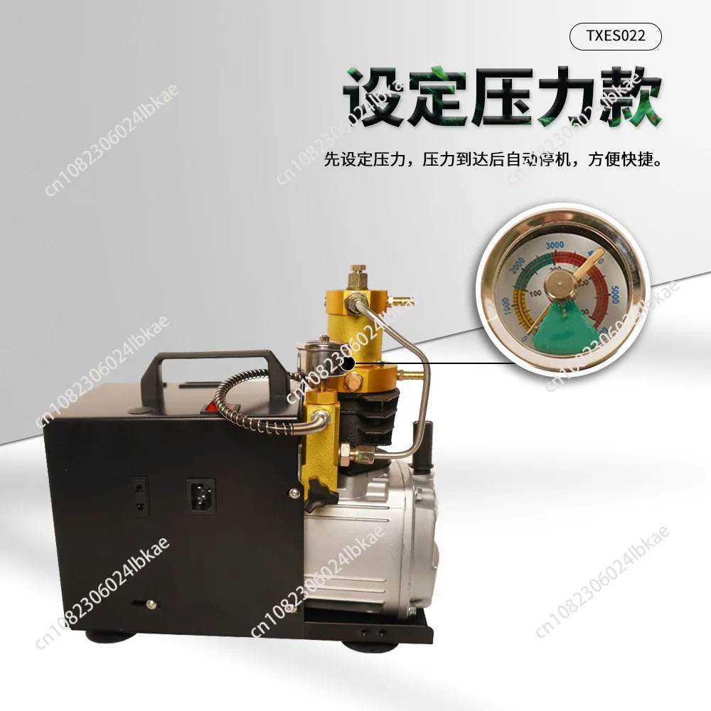 4500PSI 300Bar PCP Air Compressor Auto Purge and Adjustable Auto Stop High Pressure Water Pump for Air Rifle Gun 110/220