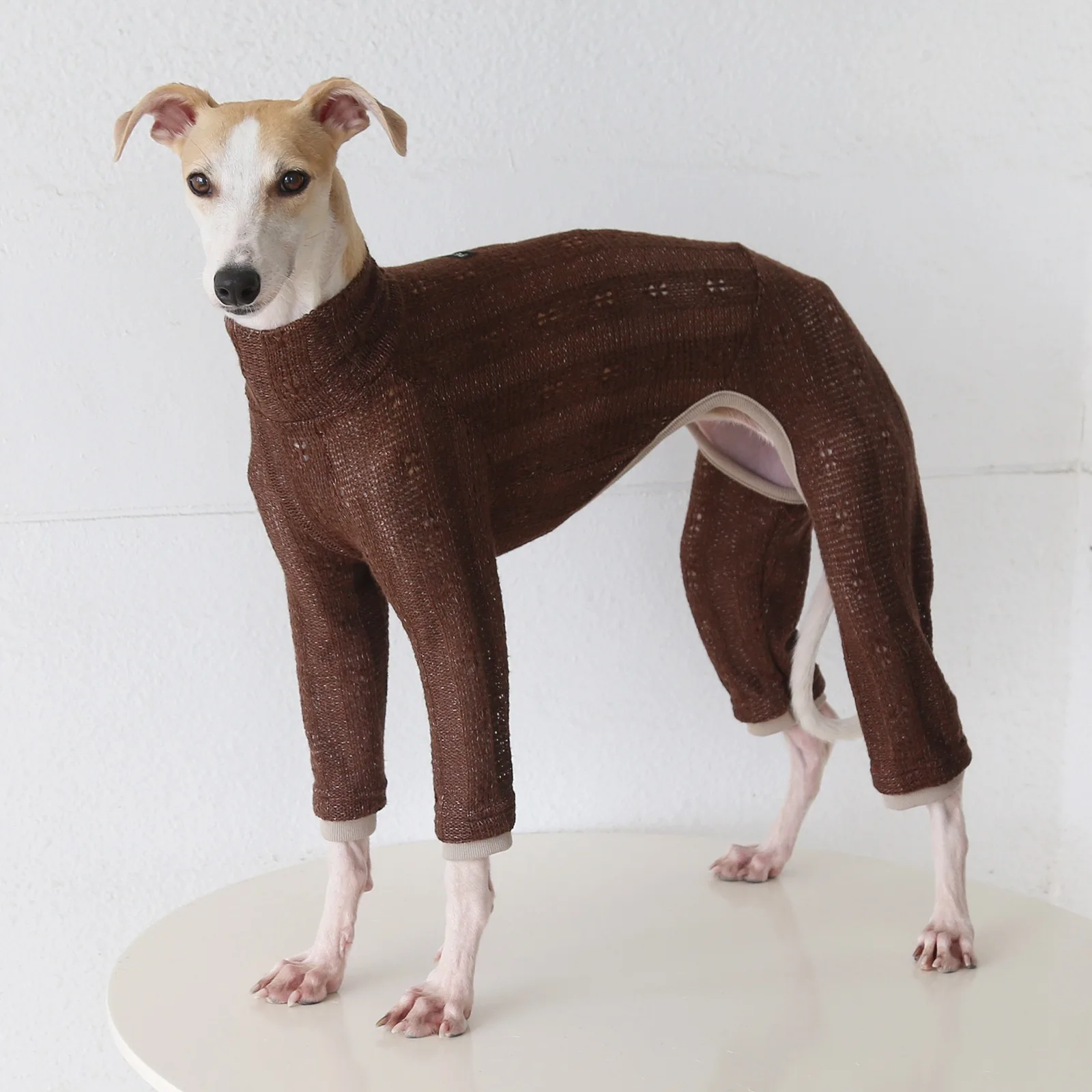 Hondenkleding Zachte gebreide trui met hoge hals en vier poten voor kleine windhonden, lente-herfst-sweatshirt voor kleine tot middelgrote whippet honden