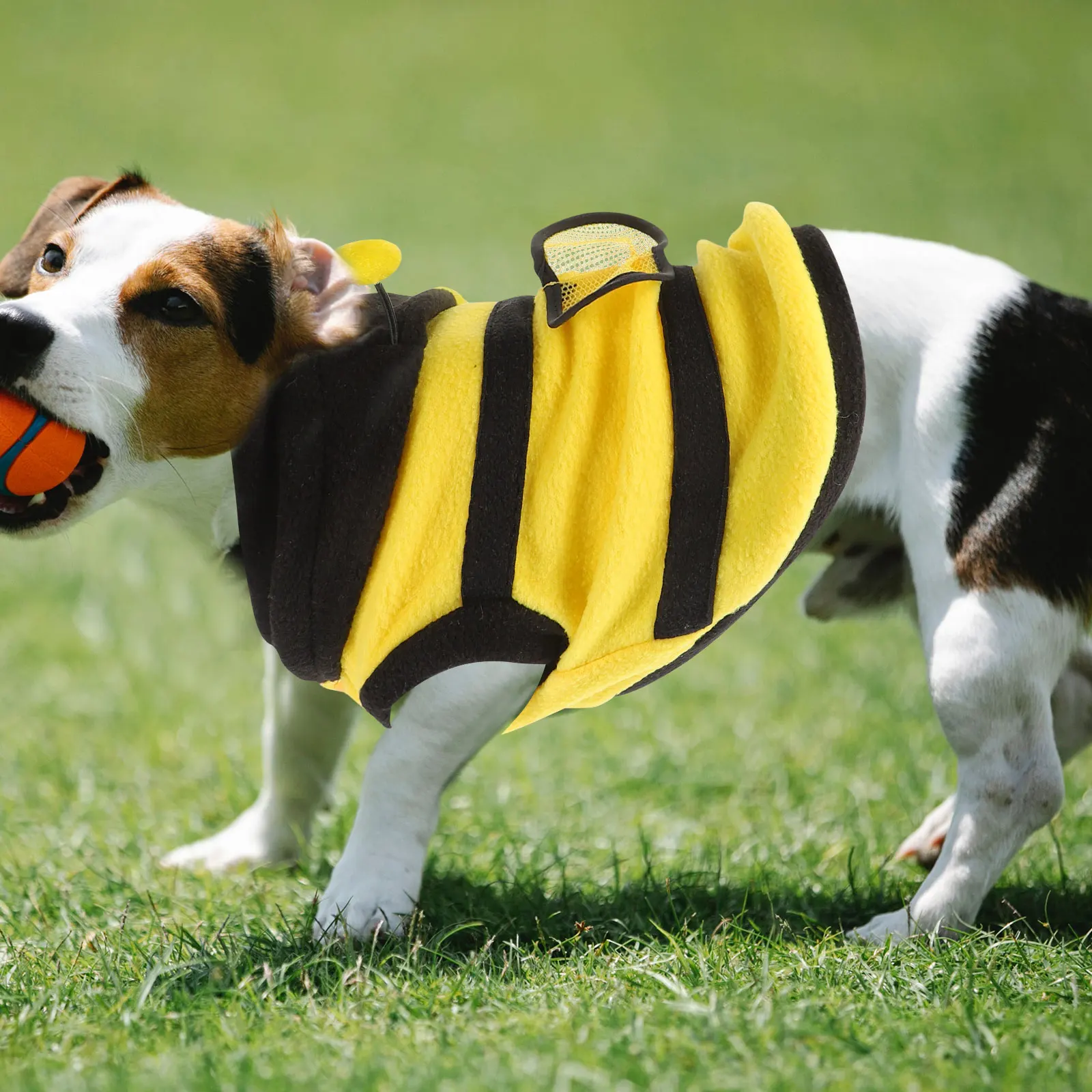

Stylish Bee Costume Dog Small Pet Clothes Fleece Adorable Outfit Walking Outdoor Jogging Comfortable for Puppy