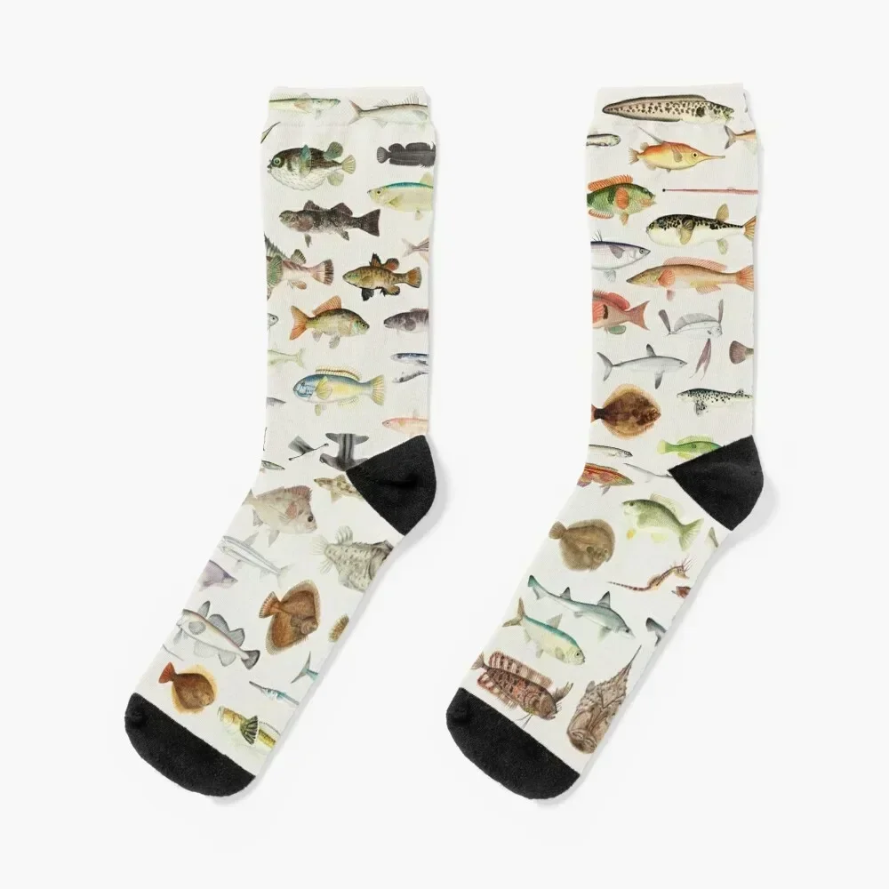 

Fish Chart Socks men cotton high quality Thermal man winter Run Women's Socks Men's