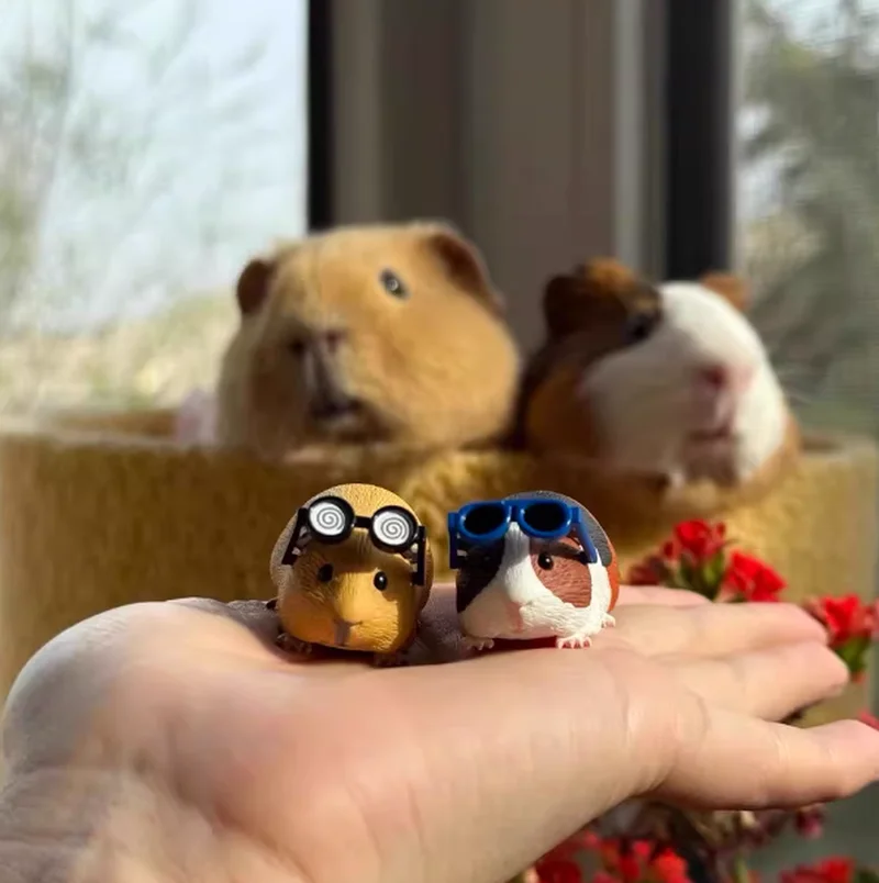 

Миниатюрная фигурка морской свинки в солнцезащитных очках, коллекционная игрушка-сюрприз, милый аниме-персонаж, модель для декора рабочего стола, подарок