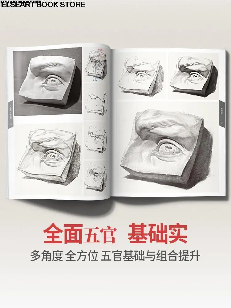 Sketch gypsum facial features head structure combination drawing books photo copy model children's album