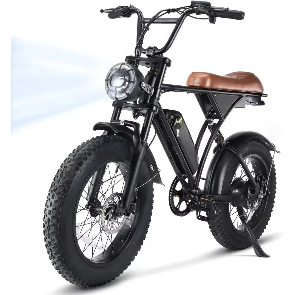 

Electric Bike for Adults 750W Motor, 20" Fat Tire Commuting Off Road Mountain Ebike with Hydraulic Suspension