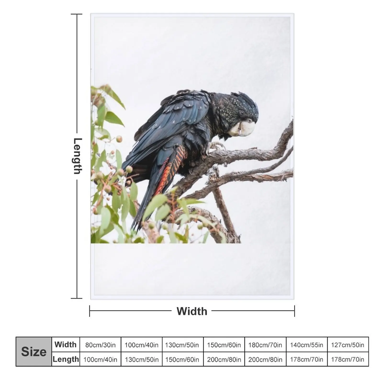 Red-Tailed Black Cockatoo Throw Blanket Baby Soft Big Blankets