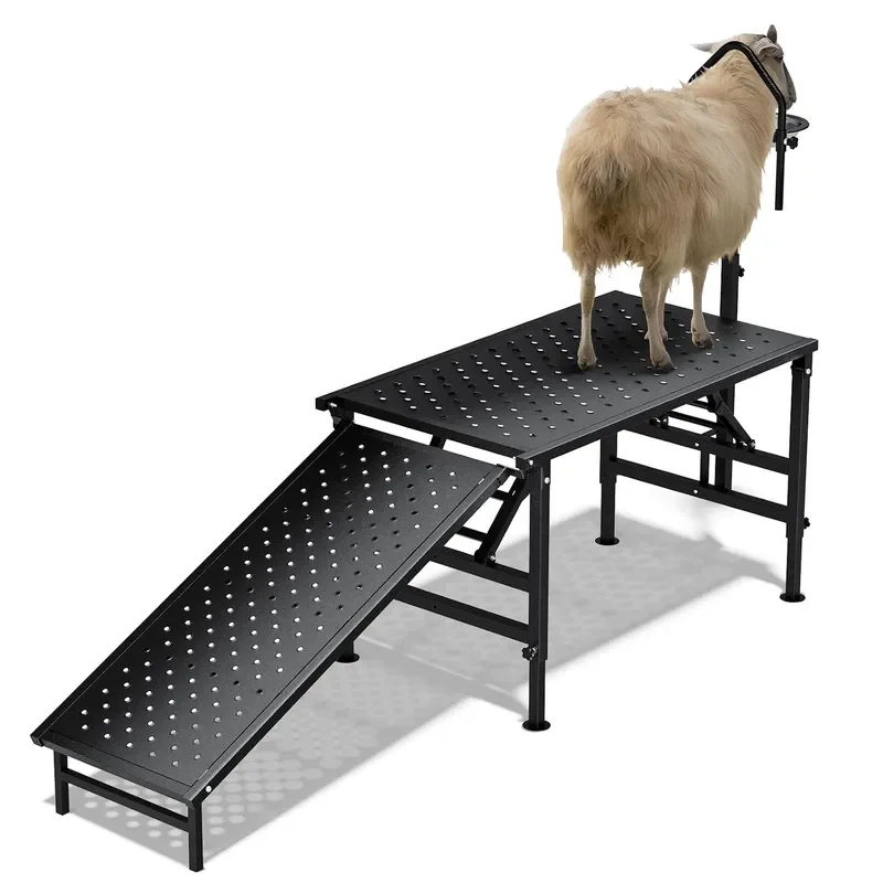 Goat Milking Stand with Ramp Livestock Trimming Goat Stand with Adjustable Headpiece and Legs and Feed Bin 600LBS Heavy Duty