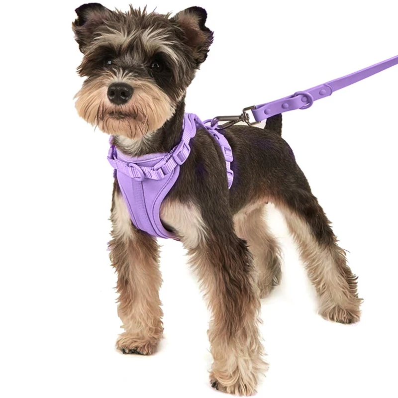 Purple Dog Collars and Leashes PVC Comfortable Dog Harness Adjustable Chest Strap for Medium and Large Dogs Walking Training