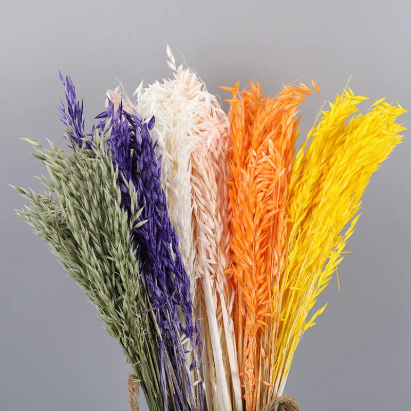 

10pcs Wheat Flower Bouquet Real Dried Natural Plant Oats Dry Flower Home Room Table Decor Wedding Party Pampas Grass Decoration