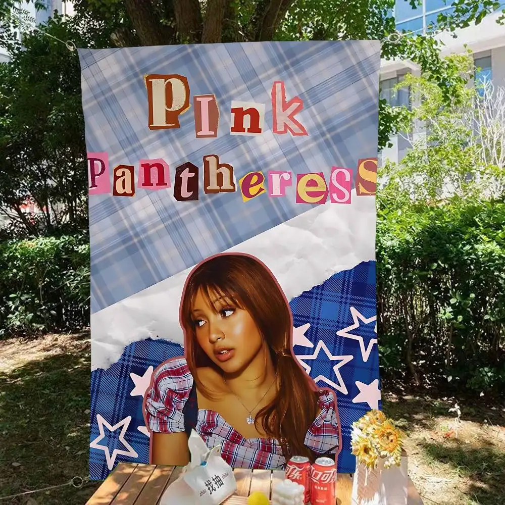 Singer P-PinkPantheress Family Gatherings Outdoor Atmosphere Flags Camping Decorations Banners