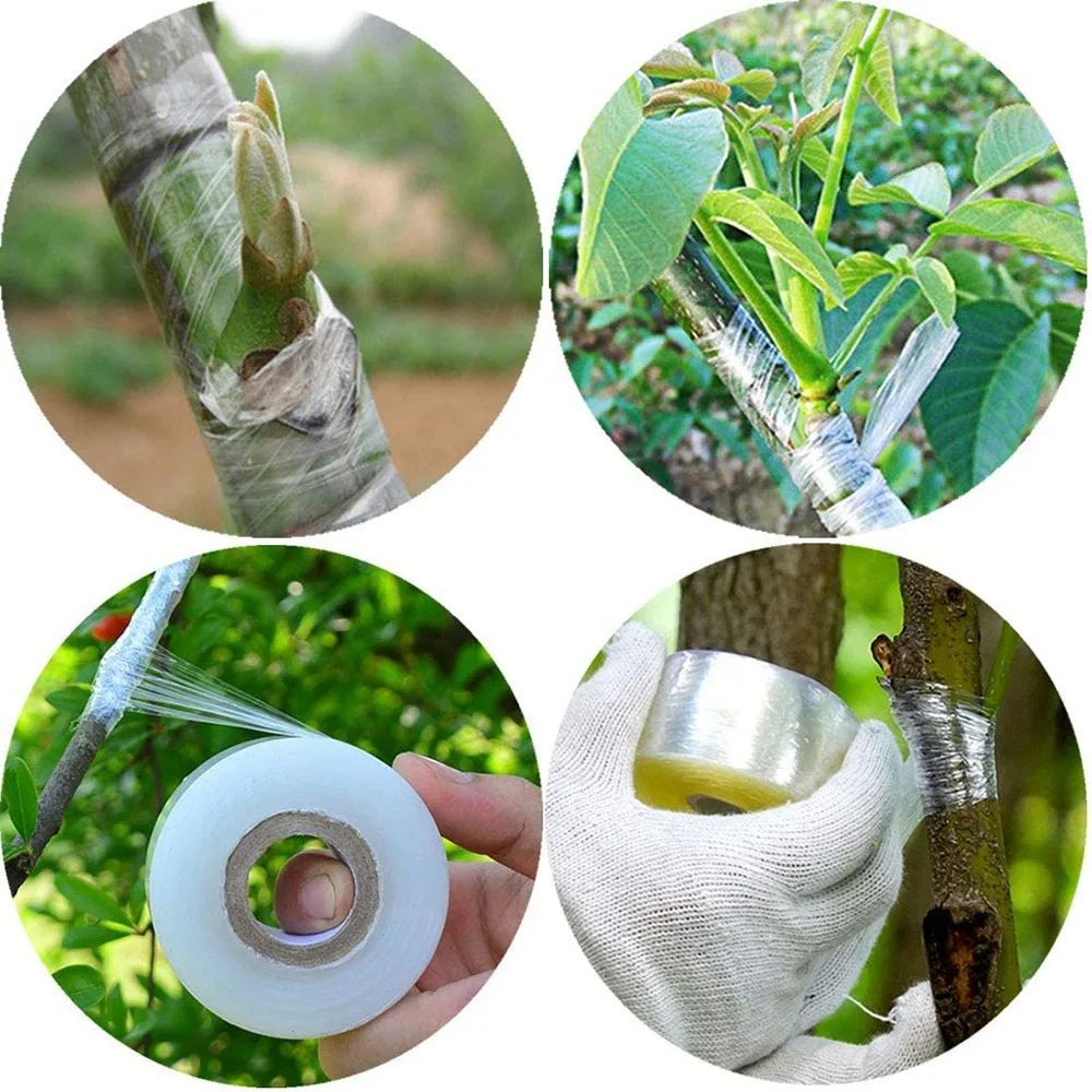 ABLU-6 Roll Self-Adhesive Nursery Stretchable Garden Flower Vegetable Grafting Tapes Fruit Tree Grafting Films Plants 3Cm