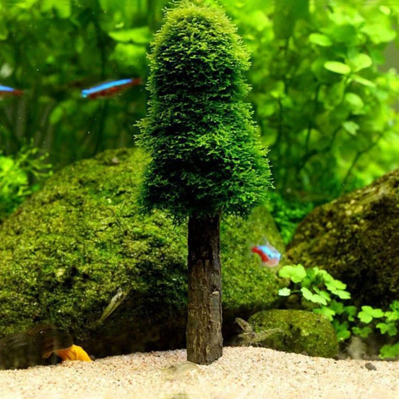 Aquarium Moss Decoration Fish Plants Holder Creating Your Own Mini Trees Forest Landscape Grow Aquatic Plants