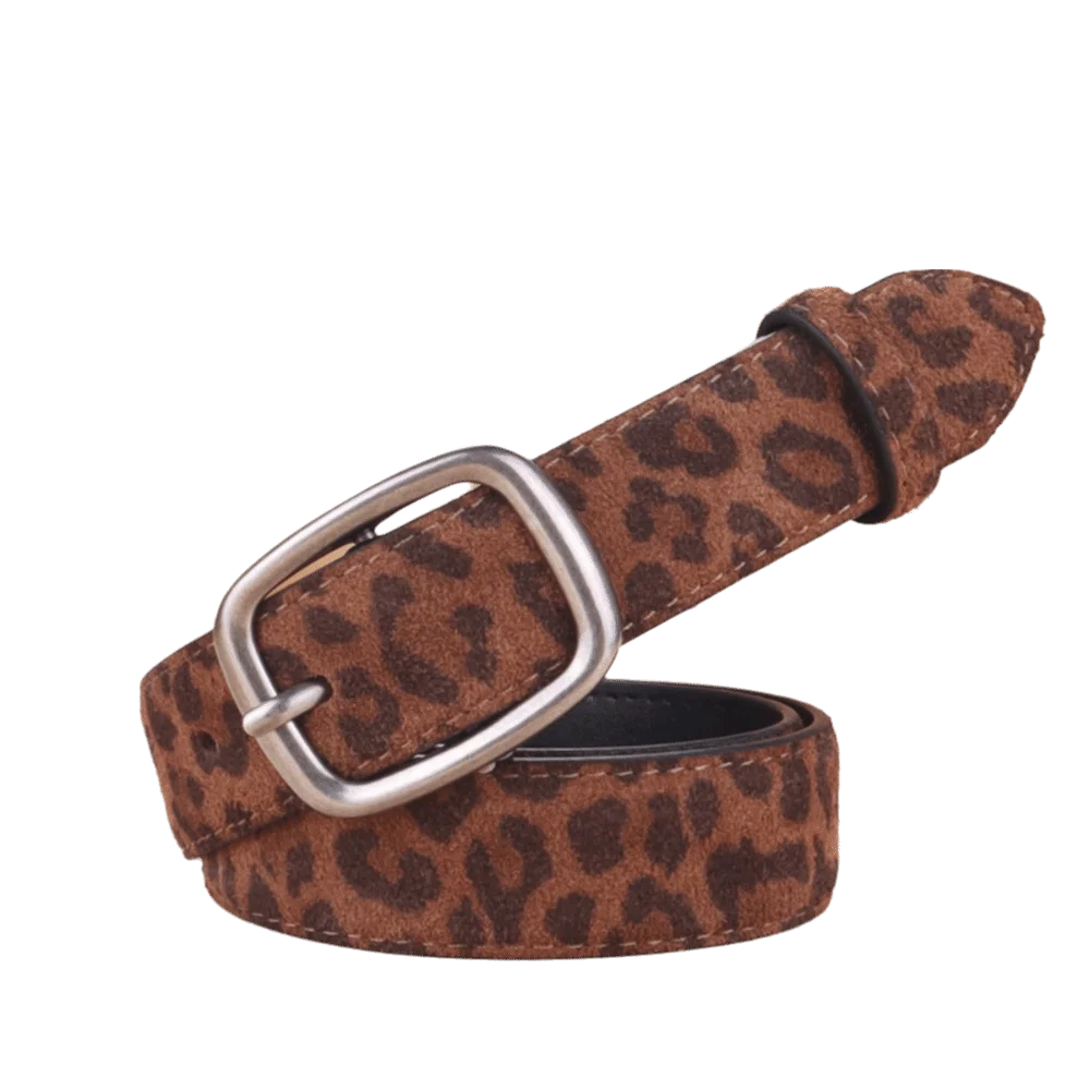 Y2K Style Leopard Print Waist Belt Gold/Silver Buckle Needle Buckle Fashion Belt Adjustable Women's Belt Jeans Dresses