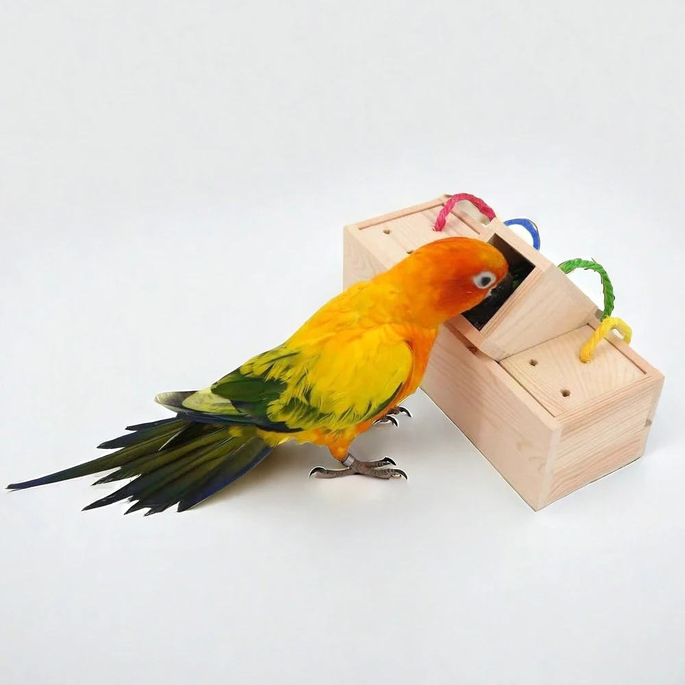 1pc Natural Wood Interactive Parrot Feeder Chew Toy Funny Foraging Box for Small Large Birds Parrot Education Play Bird Supplies