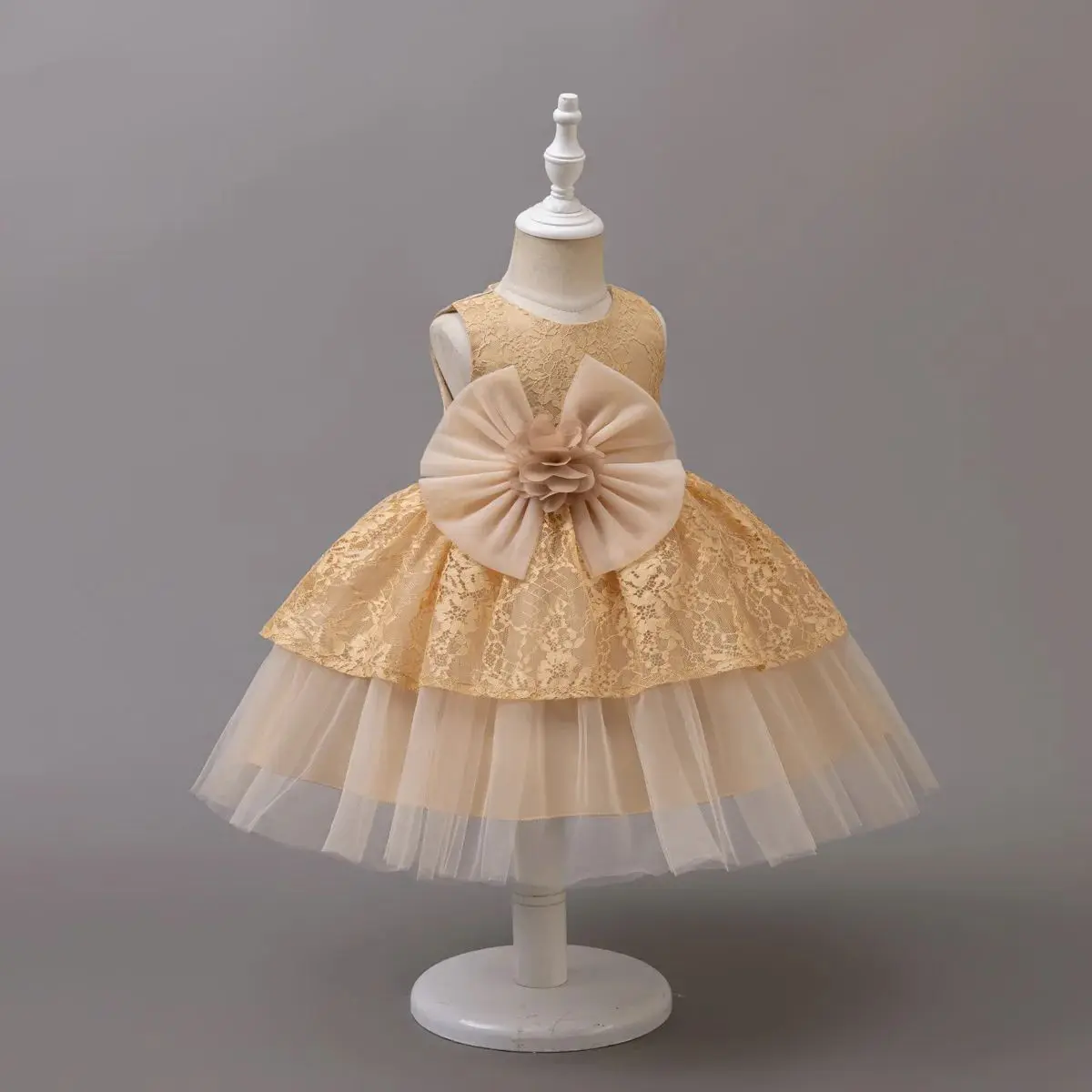 HETISO Princess Tulle Prom Dress Embroidery Lace Baby Girl Gown New Year Christmas 1 Year Birthday Outfit Wear
