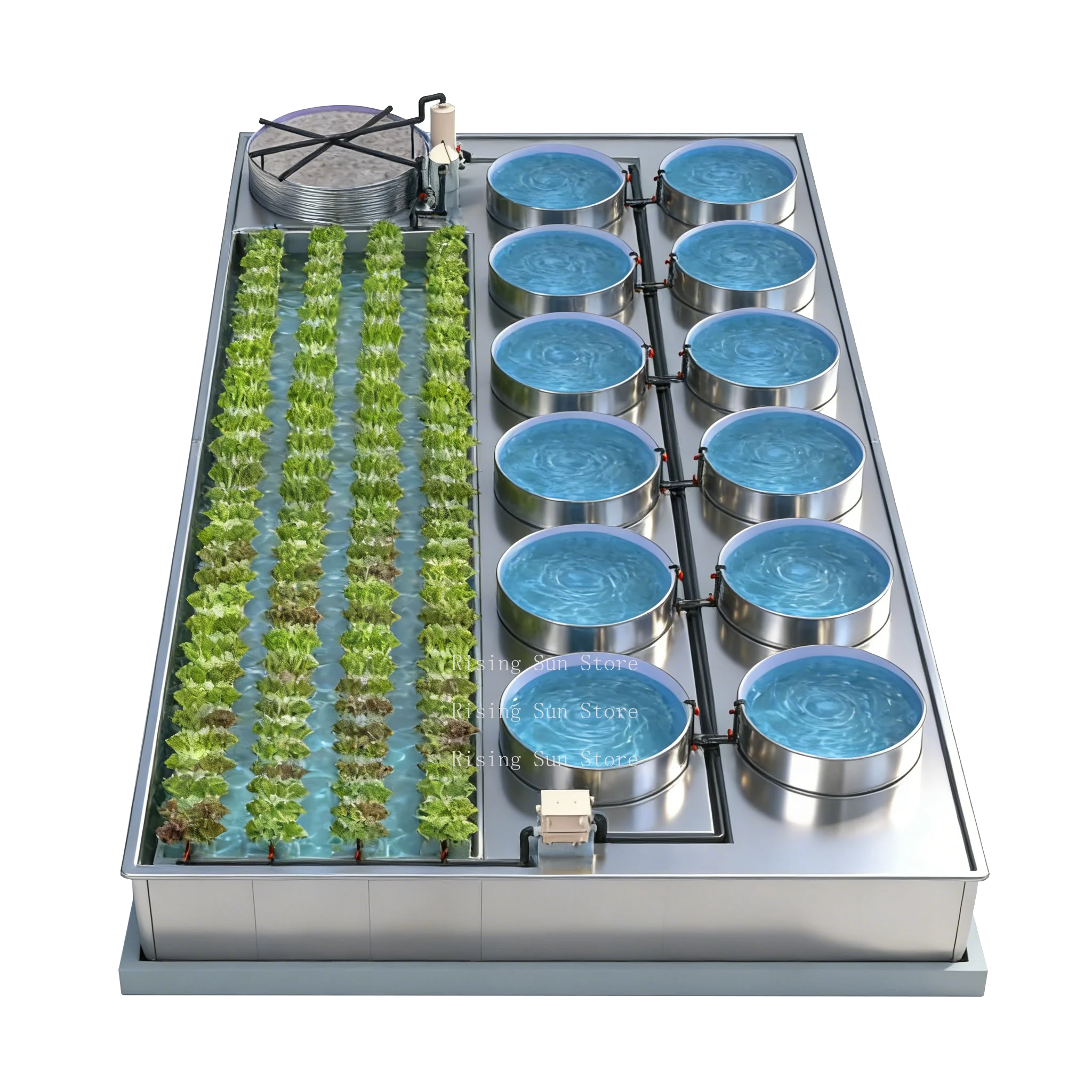 Sistemas de Acuaponía Cowater, Granjas de Peces en Interiores, Sistemas Hidropónicos de Lechuga y Tilapia, Sistemas de Acuaponía de Vegetales y Peces
