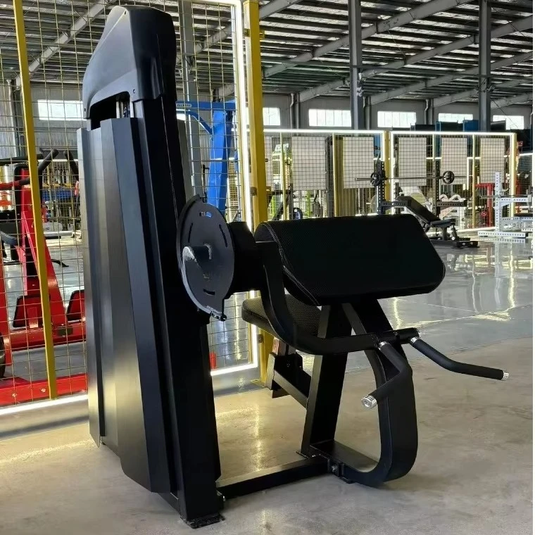 Produttore di attrezzature per il fitness commerciali Esercizio per l'allenamento della forza Macchina per il fitness con arricciatura da palestra da 45 gradi