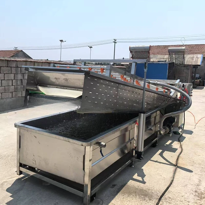 Cleaning equipment Fruit and vegetable bubble cleaning machine Bitter chrysanthemum lettuce washing machine