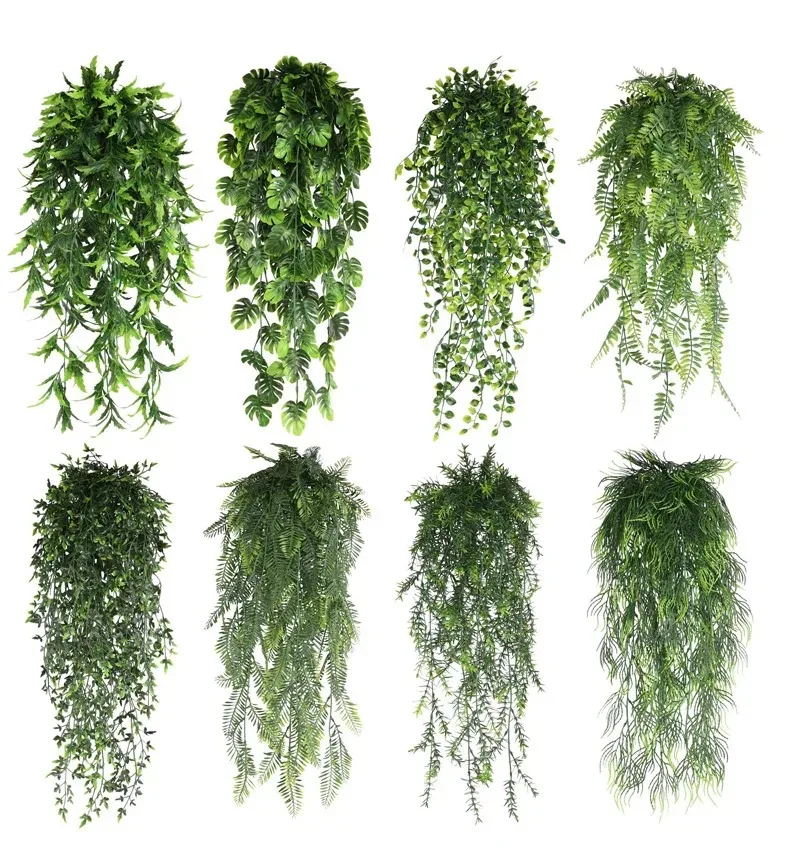 Hanging Persian Fern Vines 1