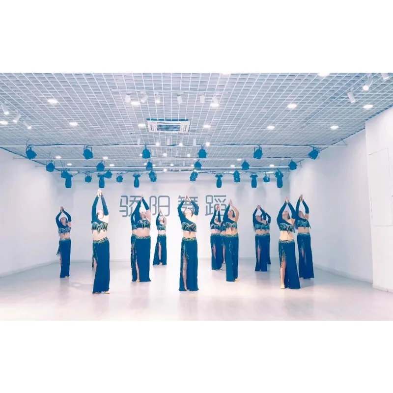 ที่กําหนดเอง Belly Dance เครื่องแต่งกายใหม่ผู้หญิงเงาเครื่องแต่งกายชุดผู้หญิง Oriental Dance เครื่องแต่งกาย