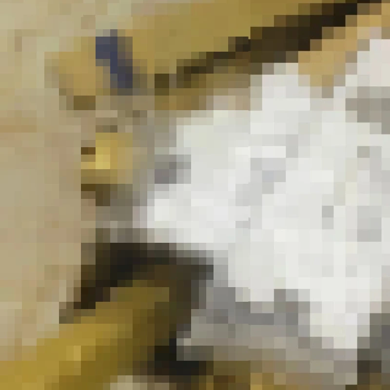 

5X Service Station Ink Pad Sponge for HP 7210 7218 7620 7621 7710 7720 7728 7730 7740 8210 8216 8218 8700 8702 8710 8715 8717