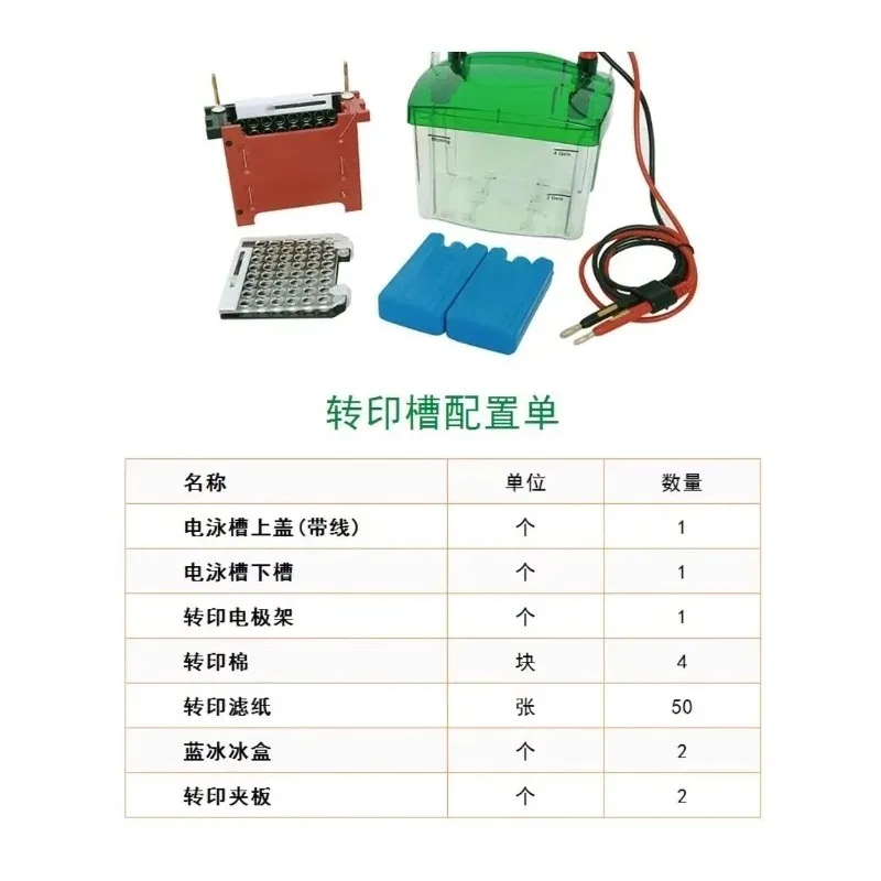 Small transfer electrophoresis tank (wet transfer) protein transfer tank universal Bole