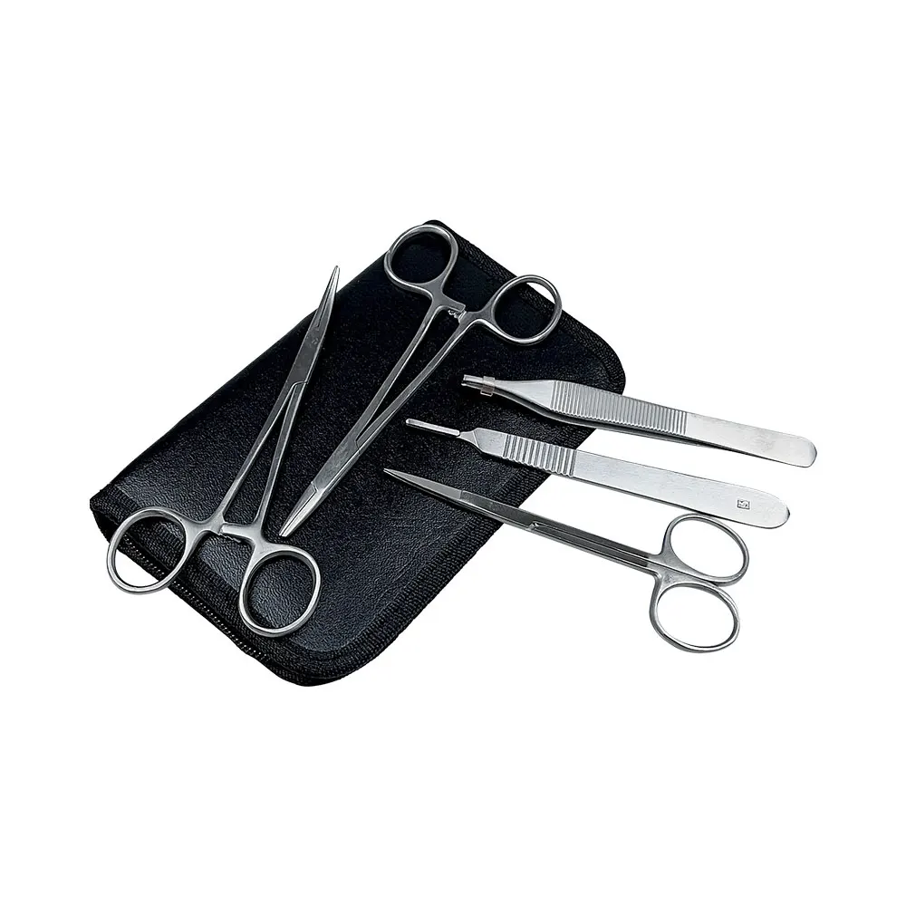 Kit di addestramento per sutura gengivale dei denti orali per sutura della pelle umana artificiale in silicone dentale Tipi comuni di formazione pratica delle ferite dentali