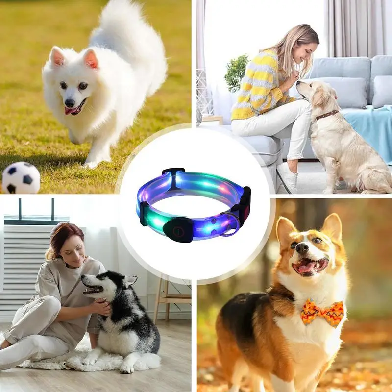 Dog Led Light Up Collar Rechargeable Waterproof Glowing Adjustable Dog Collar Weather Proof Dog Lights For Night Walking