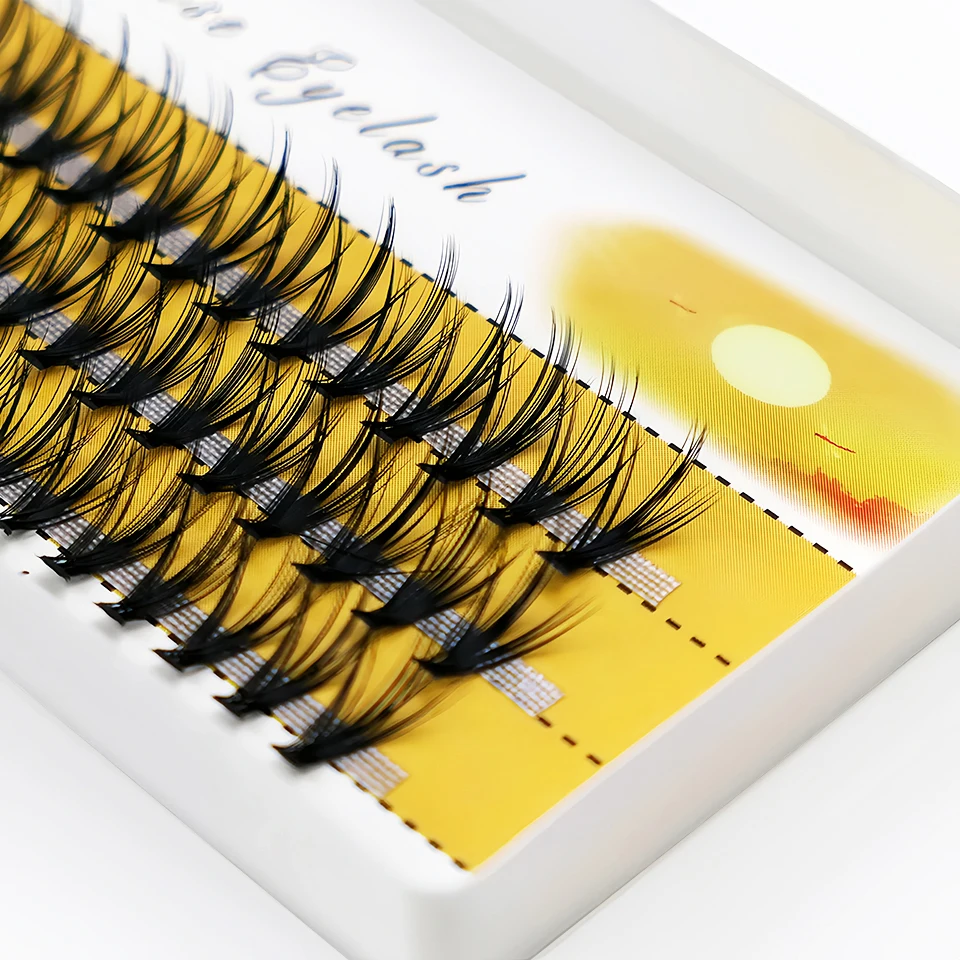 

20D/30D Individual Cluster Lashes 1 Box/60 Bundles Mink Eyelash Extension 3D Russian Volume Natural False Eyelashes Makeup Cilia