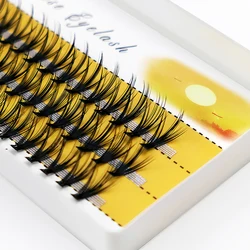 20D/30D Individual Cluster Lashes 1 Box/60 Bundles Mink Eyelash Extension 3D Russian Volume Natural False Eyelashes Makeup Cilia