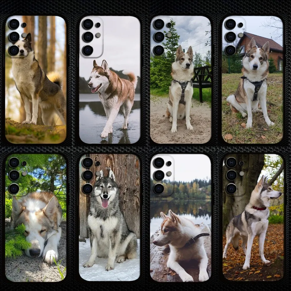 

West Siberian Laika Phone Case For Samsung S25/S24/S23/S22/S21/S20/Plus,Fe,Lite/Others Black Cover