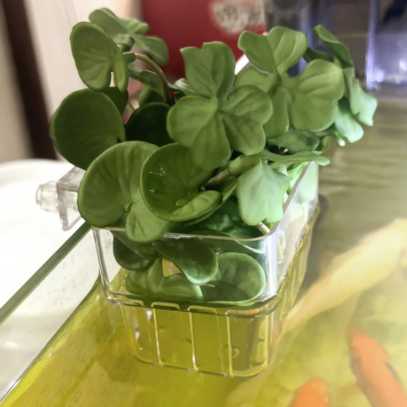 1/5pcs Aquarium Decoration Plant Cup Transparent Fish Tanks Hanging Decorations Box Pot Waterweed Cup Fish Tanks Decor Planter