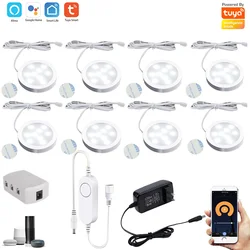 Tuya Wifi 12V LED Under Cabinet Lighting Dimming White/ Warm White Kitchen Counter Furniture Lighting Kit for Alexa Google Home