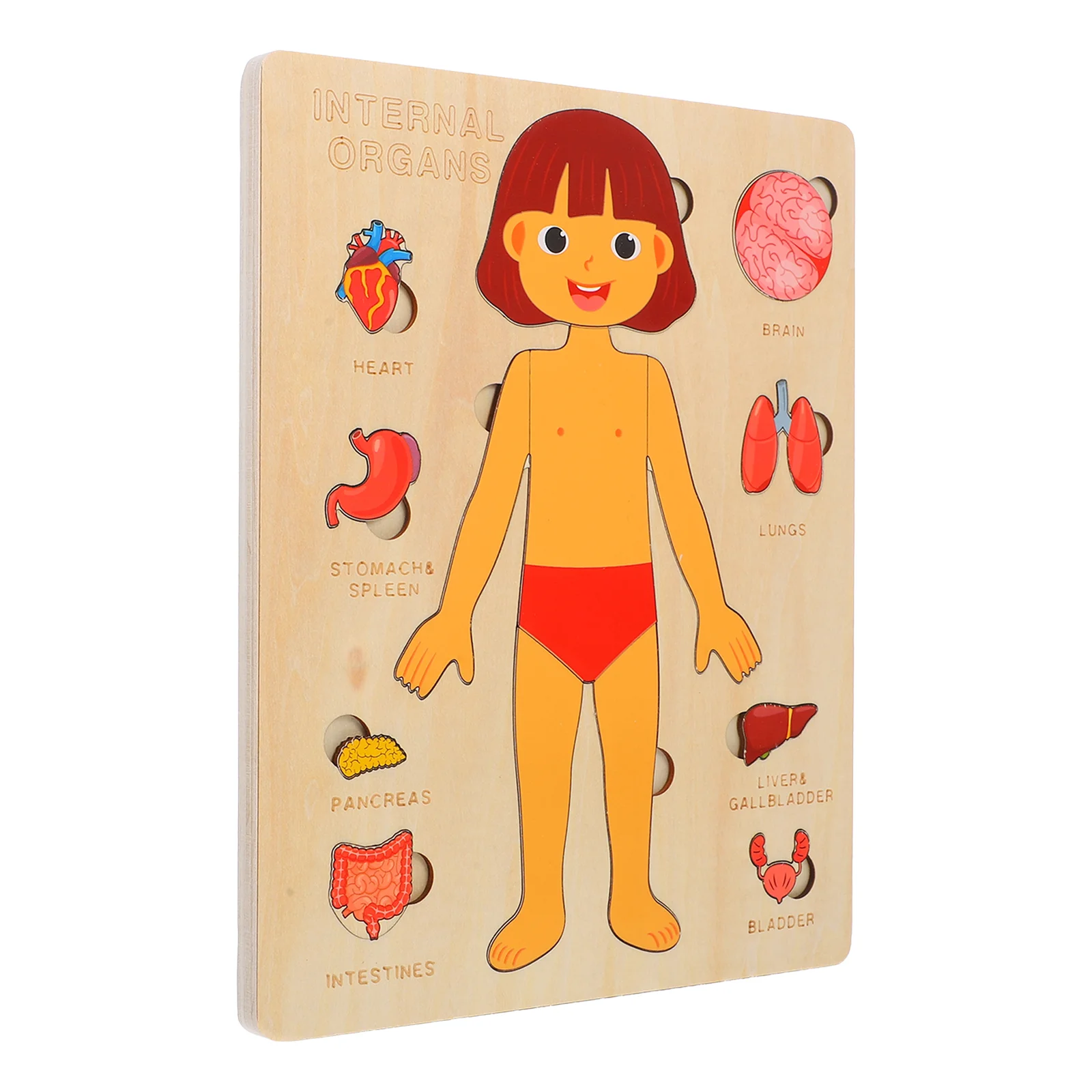 Human Body Puzzle Kid Toys Parts Pieces Teaching Prop Children Recognition Knowledge Puzzles Wooden Organs Early Learning