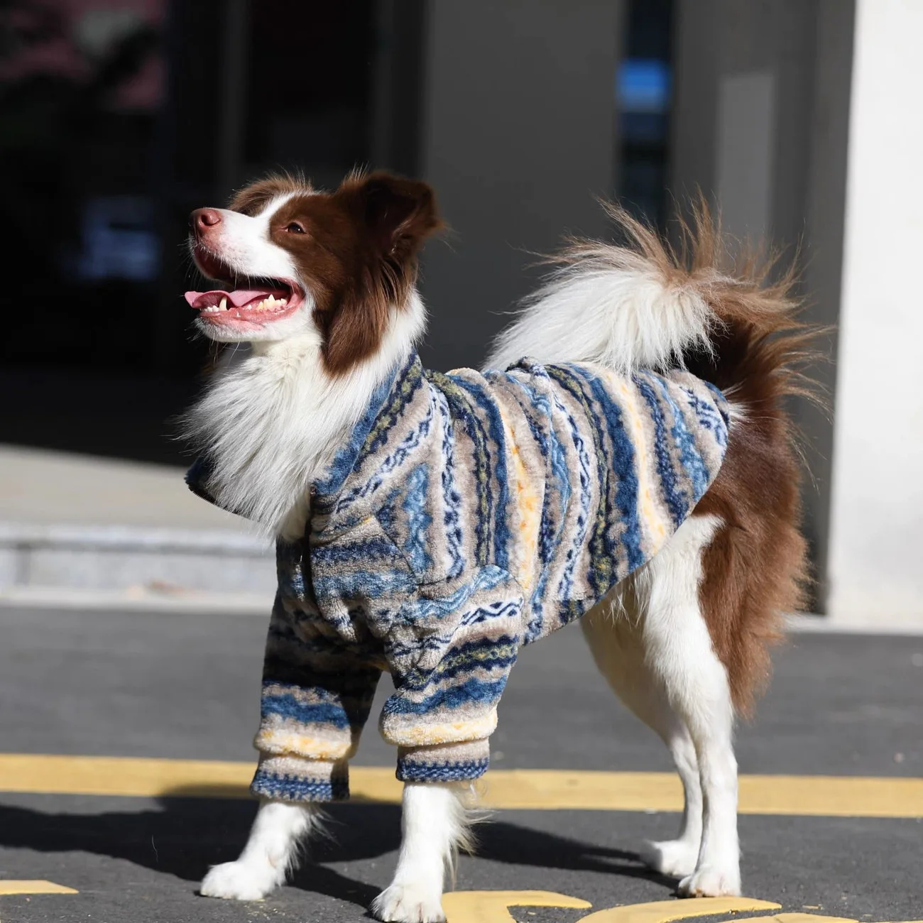 Thumbnail 2 - #19 Trending Dog Jumpers Right Now