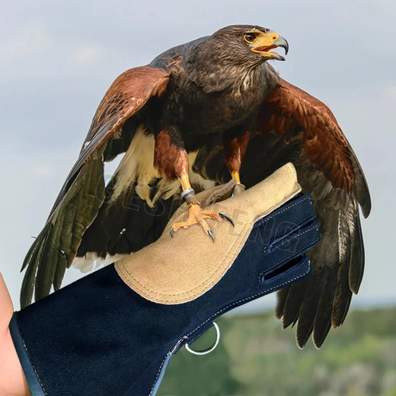 Thick Cow Leather Falconry Training Gloves, Anti Bite Anti Scratch Protective Gloves for Eagle Hawk Bird Hunting