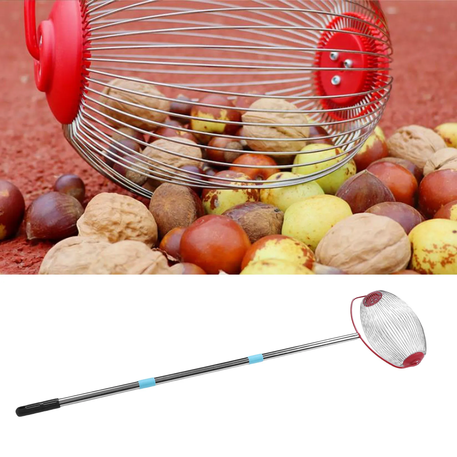 44.7 Inch 3 Section Rolling Nut Gatherer Stainless Steel Multifunctional Acorn Picker Upper Roller for Pecans Walnuts Outdoor