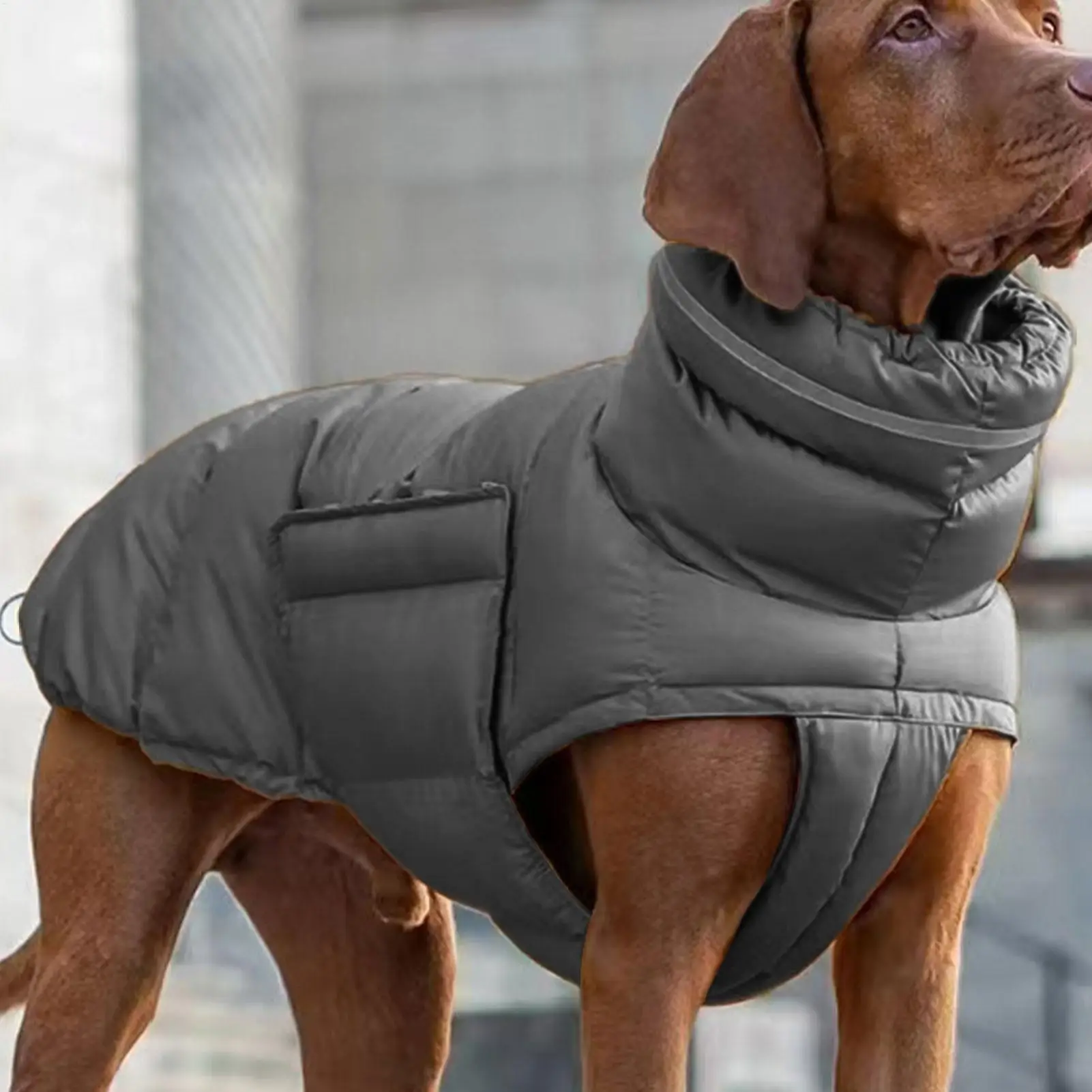 

Зимняя куртка для собак: утепленный комбинезон для крупных пород, для прогулок, походов, кемпинга и повседневных приключений в холодную погоду