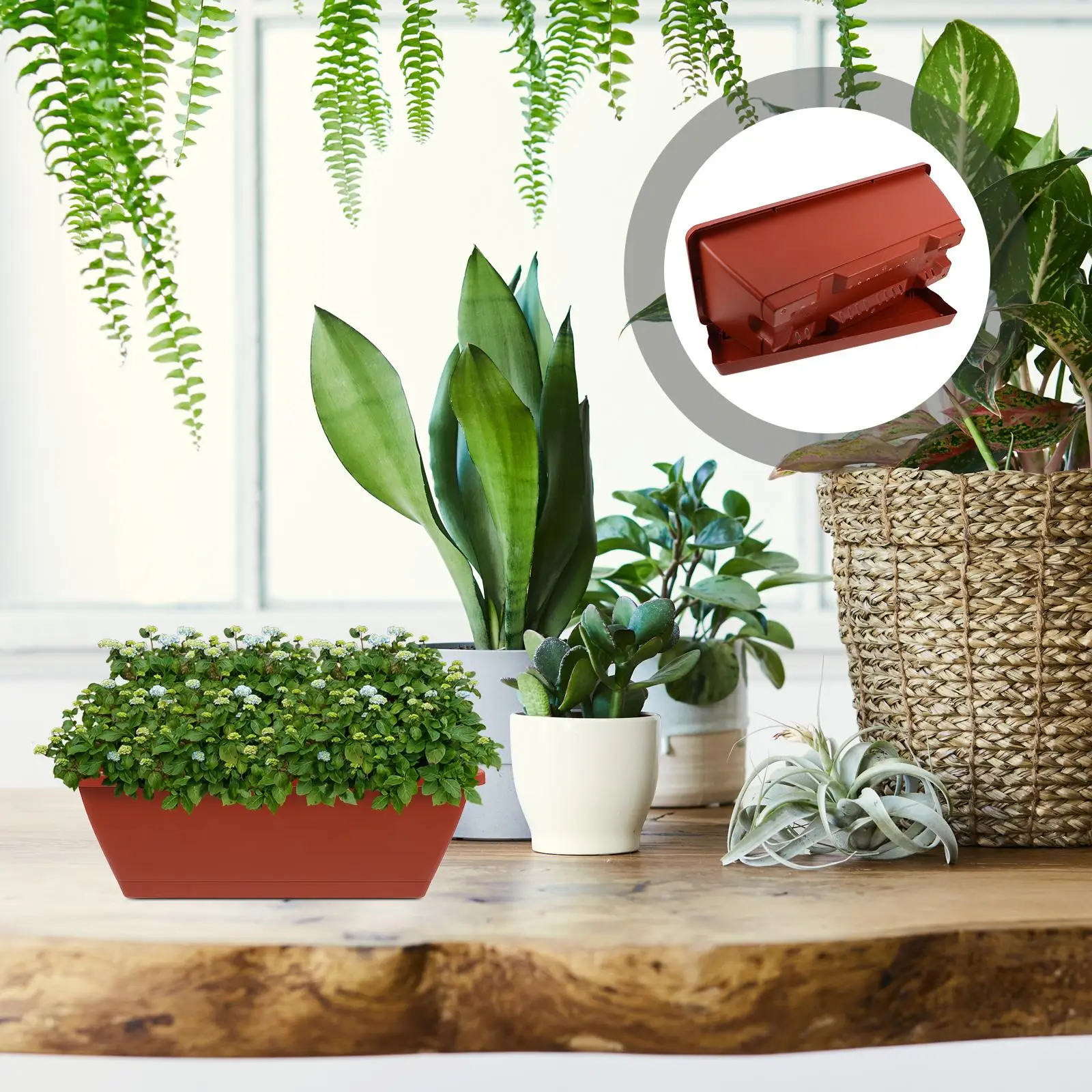 Macetas rectangulares para bonsái, macetas grandes de 43cm x 15cm x 17cm, macetas de plástico rojo de ladrillo, contenedores de jardinería, planta para balcón, 6 uds.