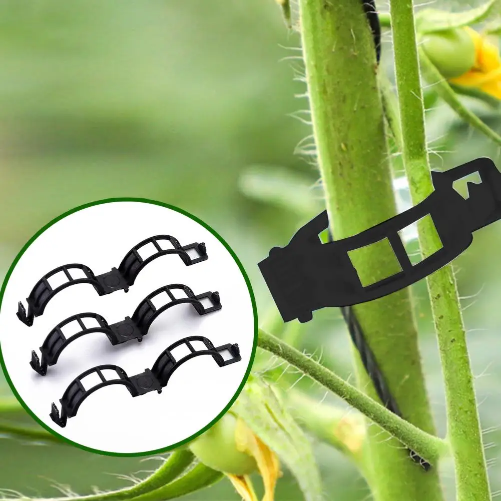 50/100Pcs 2.5cm Plant Clips Plastic Plant Support Clear Tomato Hollow Stem Support Clip For Vertical Gardening Climbing Plants