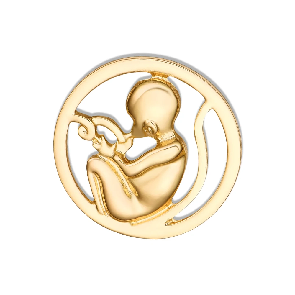 Fetal Enamel Brooch…