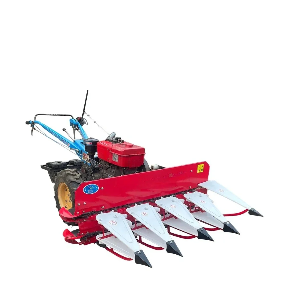 

Farm Rice Harvesting Hands Control the Harvester