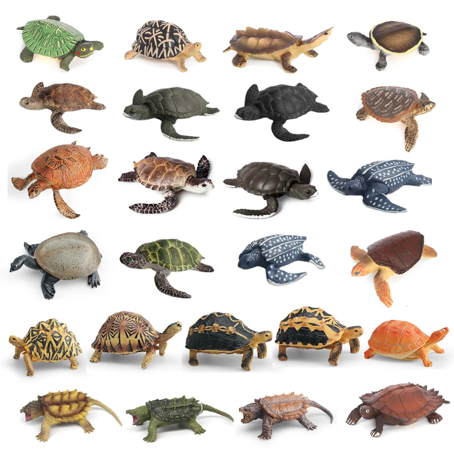 Simulasi Penyu Kulit Lunak Cina, Penyu Penggigit, Kura-kura, Model Hewan Laut, Mainan Edukasi, Figur untuk Anak-anak
