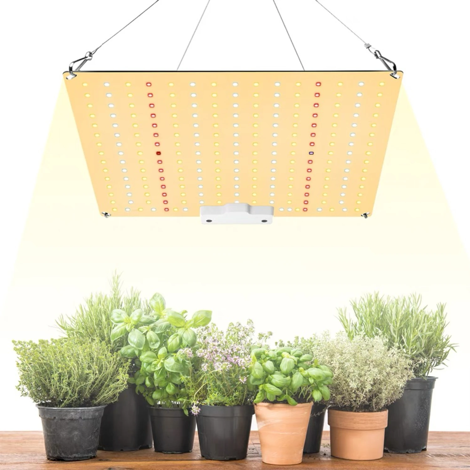 1/2 قطعة سامسونج الكم تنمو أضواء 600 واط LED النمو مصباح الطيف الكامل Phytolamp للداخلية الخضار زهرة الدفيئة نبات عصاري #3