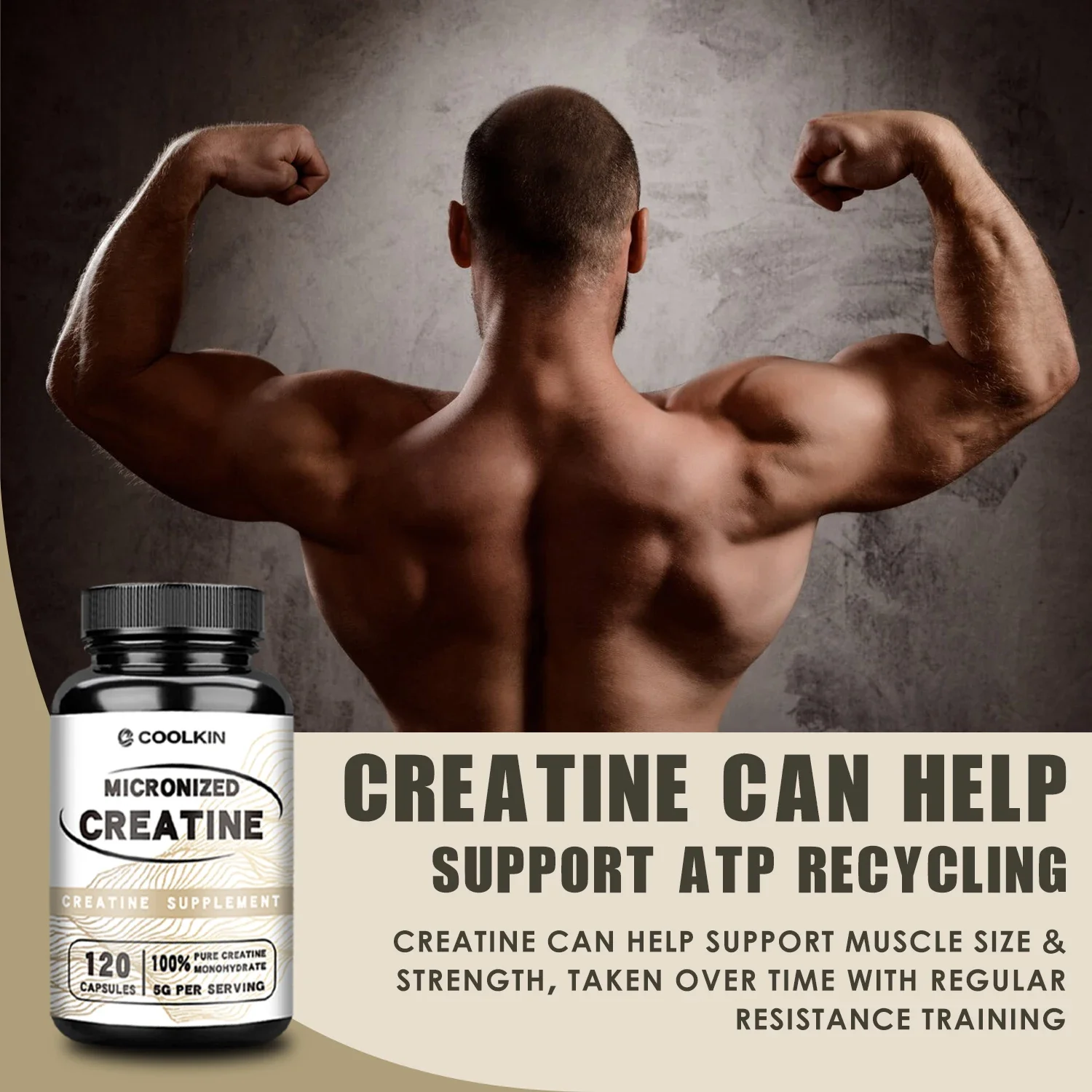 Micronized Creatine - Enhances Strength, Energy, Improves Endurance, Promotes Muscle Growth, and Enhances Immunity